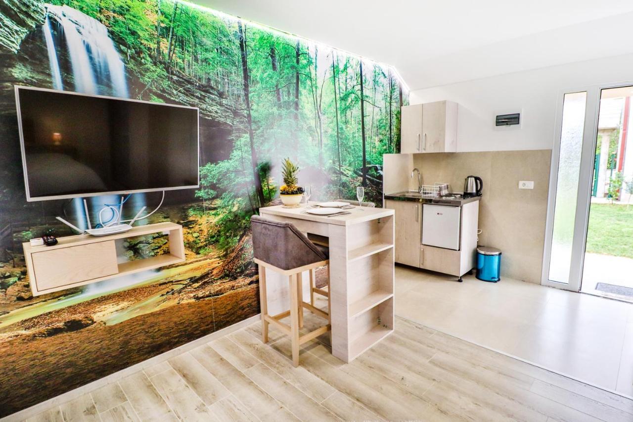 Simo Apartments Airport ポドゴリツァ エクステリア 写真